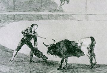 Bulls and bayonets
