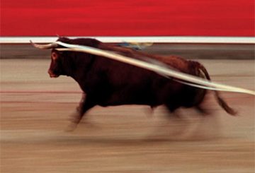 Five Short Stories about the Feria de San Fermín