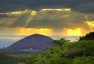 Life on Ascension Island