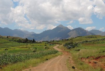 Cycle of life in southern Africa