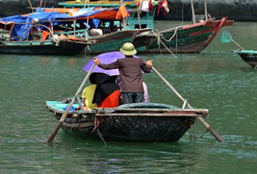 Tourism, coal shipping turning Vietnam’s Ha Long Bay into an ‘ecological disaster’