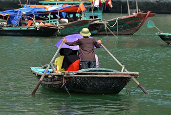 Tourism, coal shipping turning Vietnam’s Ha Long Bay into an ‘ecological disaster’