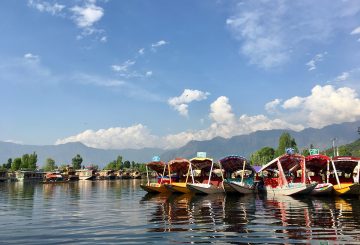 The boat on Dal Lake: A letter from Kashmir
