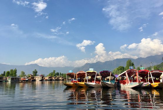 The boat on Dal Lake: A letter from Kashmir