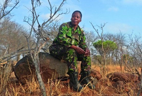 Women on the poachers’ trail: The white rhino’s great hope?